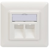 Digitus DN-93801-1 presa energia RJ-45 Bianco bianco, RJ-45, Bianco, 80 mm, 5 mm, 80 mm