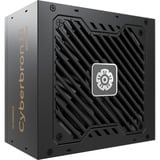 Enermax EMB750EWT-NAC, Alimentatore PC 