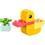 LEGO 30673, Giochi di costruzione 