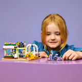 LEGO 42693, Giochi di costruzione 
