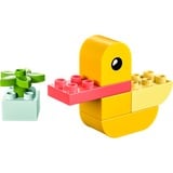 LEGO DUPLO La mia prima anatra, Giochi di costruzione Set da costruzione, 1,5 anno/i, Plastica, 7 pz, 64 g