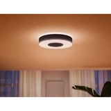 Philips White & Color Ambiance Infuse Lampada da Soffitto M, Luce LED Nero