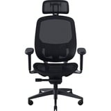 Razer RZ38-04940100-R3G1, Sedili di gioco Nero