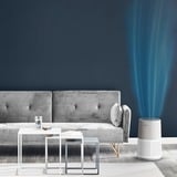 Rowenta PU2840F0, Purificatore d'aria bianco