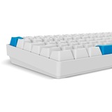 Sharkoon SKILLER SGK50 S2 PBT, Tastiera da gioco bianco