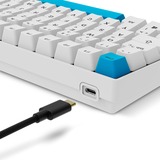 Sharkoon SKILLER SGK50 S2 PBT, Tastiera da gioco bianco