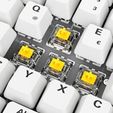 Sharkoon SKILLER SGK50 S2 PBT, Tastiera da gioco bianco
