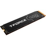 Team Group T-FORCE G50 1 TB, Disco a stato solido 