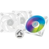 ARCTIC P12 PWM PST A-RGB 0dB 3er 120x120x25 bianco/trasparente