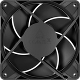 ARCTIC P12 Pro PST LN, Ventola Nero