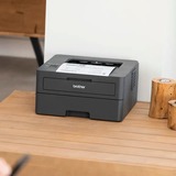 Brother HLL2400DWERE1, Stampante laser grigio scuro