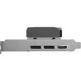 ZOTAC GeForce RTX 5060 Low Profile, Scheda grafica 