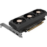 ZOTAC GeForce RTX 5060 Low Profile, Scheda grafica 