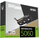 ZOTAC GeForce RTX 5060 Low Profile, Scheda grafica 