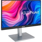 ASUS PA247CV 60,5 cm (23.8") 1920 x 1080 Pixel Full HD LED Nero, Argento Nero/Argento, 60,5 cm (23.8"), 1920 x 1080 Pixel, Full HD, LED, 5 ms, Nero, Argento