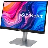 ASUS ProArt PA247CV Monitor PC 60,5 cm (23.8") 1920 x 1080 Pixel Full HD Nero, Argento, Monitor LED Nero/Argento, 60,5 cm (23.8"), 1920 x 1080 Pixel, Full HD, 5 ms, Nero, Argento
