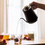 Cecotec Thermosense 500 Cisne, Bollitore Nero/legno