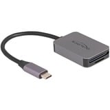 DeLOCK Lettore di schede USB Type-C per schede di memoria SD o Micro SD grigio
