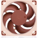Noctua NF-A6x15 PWM, Ventola 