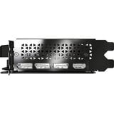 PNY GeForce RTX 5050 Doppia Ventola, Scheda grafica 