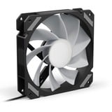 Sharkoon SHARK Mirror RGB PWM REVERSE, Ventola Nero