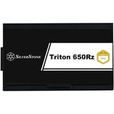 SilverStone SST-TR650R-GM, Alimentatore PC Nero