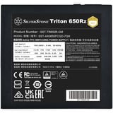 SilverStone SST-TR650R-GM, Alimentatore PC Nero