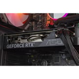 ALTERNATE AGP-SPECIAL-INT-006, PC Gaming Nero/trasparente