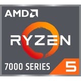 AMD Ryzen™ 5 7500F, Processore Vassoio
