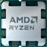 AMD Ryzen™ 5 7500F, Processore Vassoio
