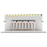 DeLOCK 66871 pezzo di pannello 0.5U, Patch Panel grigio, Grigio, Metallo, 0.5U, 254 mm, 100 mm, 22 mm