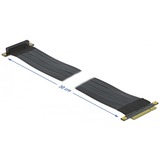 DeLOCK 85766 scheda di interfaccia e adattatore Interno PCIe PCIe, PCIe, Nero, 0,3 m, 1 pz