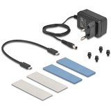 DeLOCK Custodia USB esterna 20 Gbps per 2 x M.2 NVMe PCIe SSD, Disk enclosure grigio