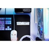 Kingston FURY KF556C36BWE-16, Memoria bianco