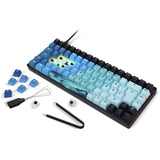 Sharkoon SKILLER SGK50 S3 Ultimate Rev2, set turchese/Blu
