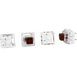 Sharkoon Tactile Kailh Box Brown Interruttori a tastiera, Interruttore a pulsante marrone/trasparente, Interruttori a tastiera, Marrone, Bianco