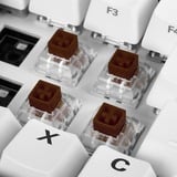 Sharkoon Tactile Kailh Box Brown Interruttori a tastiera, Interruttore a pulsante marrone/trasparente, Interruttori a tastiera, Marrone, Bianco