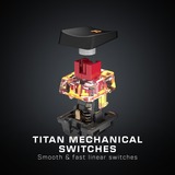 Turtle Beach Vulcan TKL tastiera Gaming USB QWERTZ Tedesco Nero, Tastiera da gioco Nero, Cablato, USB, Interruttore a chiave meccanica, QWERTZ, LED RGB, Nero