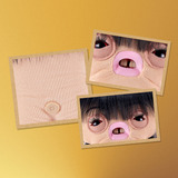 ZURU Fuggler - Fugg Stars Serie 2, Peluche animali 3 anno/i