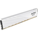 ADATA LANCER BLADE DDR5 memoria 32 GB 1 x 32 GB 288-pin DIMM Data Integrity Check (verifica integrità dati) bianco, 32 GB, 1 x 32 GB, DDR5, 6000 MHz, 288-pin DIMM, Bianco
