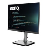 BenQ RD280UG Monitor di programmazione, Monitor LED argento
