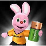 Duracell 5000394055995 batteria per uso domestico Batteria ricaricabile D Nichel-Metallo Idruro (NiMH) Batteria ricaricabile, D, Nichel-Metallo Idruro (NiMH), 1,2 V, 2 pz, 2200 mAh