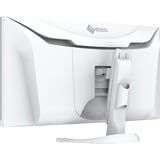 EIZO FlexScan EV3450XC-WT Monitor PC 86,6 cm (34.1") 3440 x 1440 Pixel UltraWide Quad HD LED Bianco, Monitor LED bianco, 86,6 cm (34.1"), 3440 x 1440 Pixel, UltraWide Quad HD, LED, 5 ms, Bianco