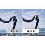 Lenovo T24D-40(A25238FT1), Monitor LED Nero