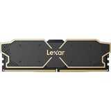 Lexar LD5U08G60C38LG-RGD Nero