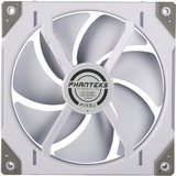 Phanteks PH-F140D30R_DRGB_PWM_WT01_3P, Ventola bianco