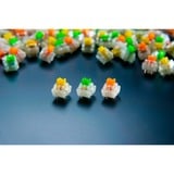 Razer Yellow Switch-Set, Interruttore a pulsante giallo/trasparente