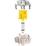 Razer Yellow Switch-Set, Interruttore a pulsante giallo/trasparente