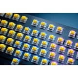 Razer Yellow Switch-Set, Interruttore a pulsante giallo/trasparente