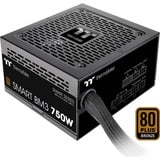 Thermaltake PS-SPD-0750MNFABE-3, Alimentatore PC Nero